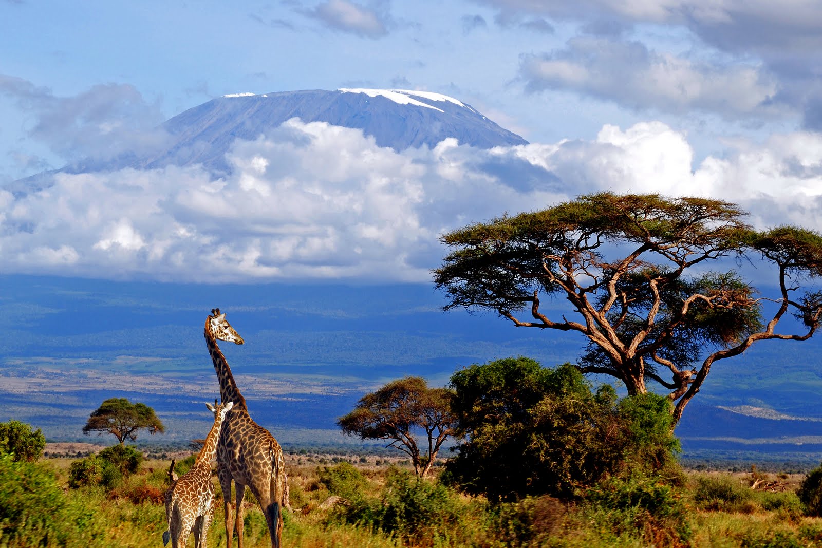Kilimanjaro natural wonders