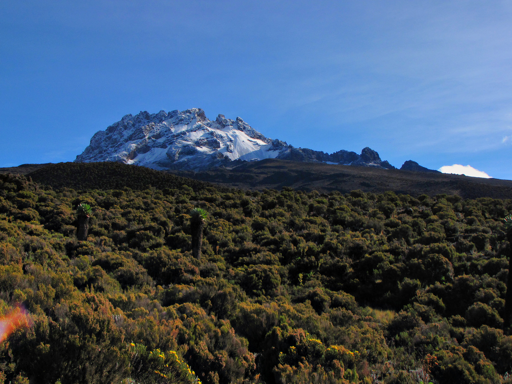 Climb Mountain Kilimanjaro Umbwe Route