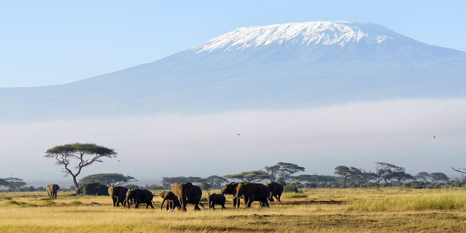Climb Mount Kilimanjaro with Moshi Moshi Expedition and Mountaineering