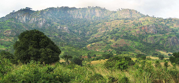 Usambara Mountain